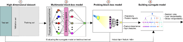Figure 2 for Interpreting Black-box Machine Learning Models for High Dimensional Datasets