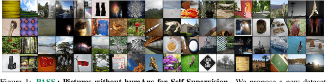 Figure 1 for PASS: An ImageNet replacement for self-supervised pretraining without humans