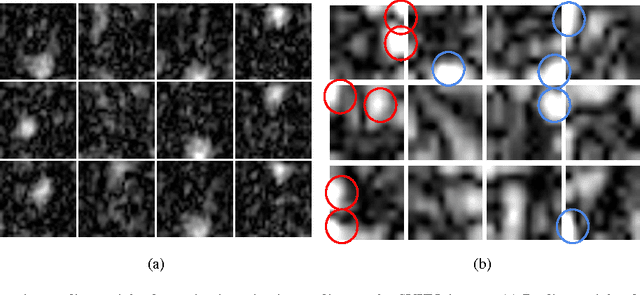 Figure 3 for Emergence of Selective Invariance in Hierarchical Feed Forward Networks