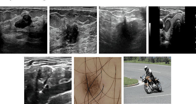 Figure 3 for Network-Agnostic Knowledge Transfer for Medical Image Segmentation