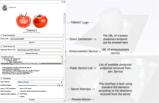 Figure 3 for TOMAAT: volumetric medical image analysis as a cloud service