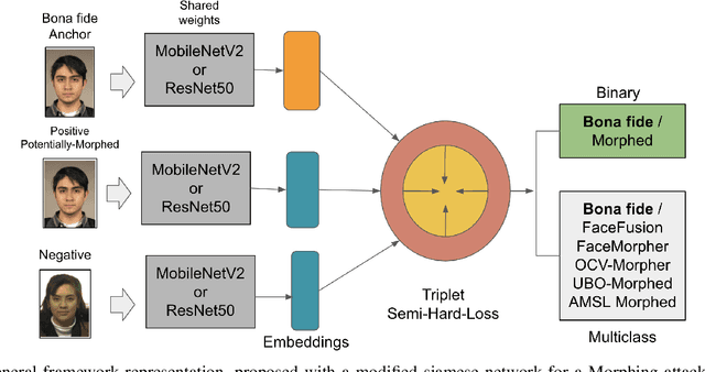 Figure 1 for Single Morphing Attack Detection using Siamese Network and Few-shot Learning