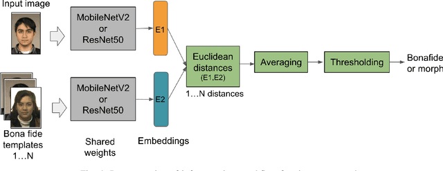 Figure 4 for Single Morphing Attack Detection using Siamese Network and Few-shot Learning