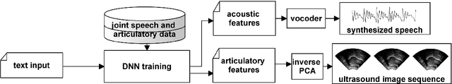 Figure 1 for Extending Text-to-Speech Synthesis with Articulatory Movement Prediction using Ultrasound Tongue Imaging