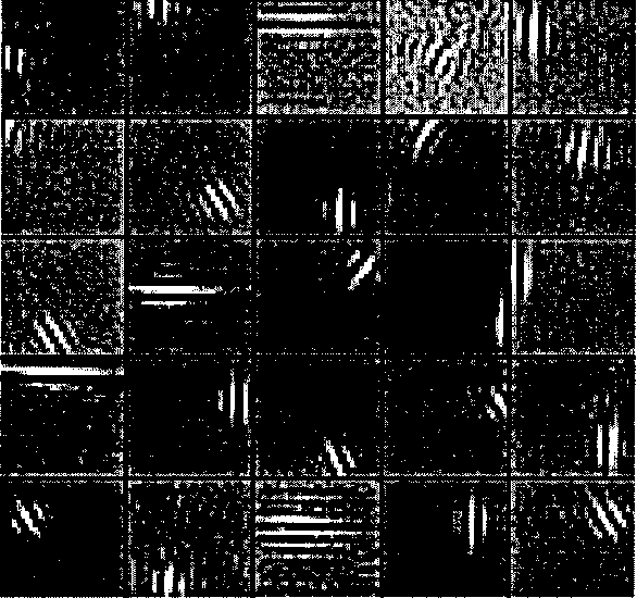 Figure 4 for Efficient Parametric Projection Pursuit Density Estimation