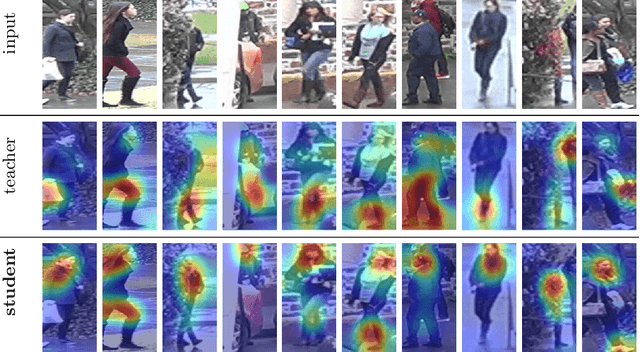 Figure 4 for Robust Re-Identification by Multiple Views Knowledge Distillation