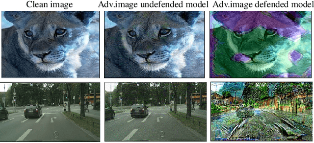 Figure 1 for Defending against Universal Perturbations with Shared Adversarial Training