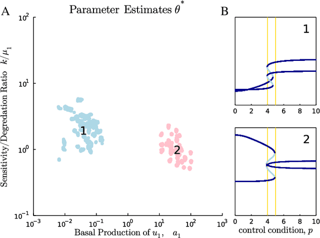 Figure 4 for Parameter Inference with Bifurcation Diagrams