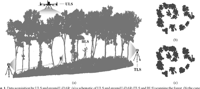 Figure 1 for Efficient divide-and-conquer registration of UAV and ground LiDAR point clouds through canopy shape context