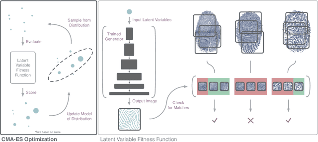 Figure 3 for DeepMasterPrints: Generating MasterPrints for Dictionary Attacks via Latent Variable Evolution