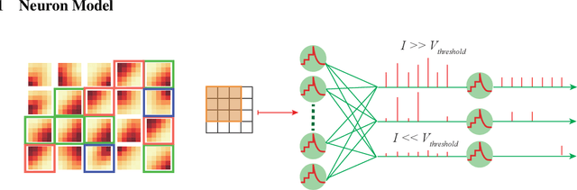 Figure 3 for An Unsupervised Spiking Neural Network Inspired By Biologically Plausible Learning Rules and Connections