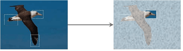 Figure 3 for DAF-NET: a saliency based weakly supervised method of dual attention fusion for fine-grained image classification