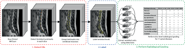 Figure 1 for SpineNetV2: Automated Detection, Labelling and Radiological Grading Of Clinical MR Scans