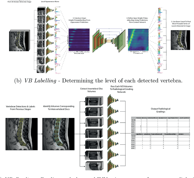 Figure 2 for SpineNetV2: Automated Detection, Labelling and Radiological Grading Of Clinical MR Scans