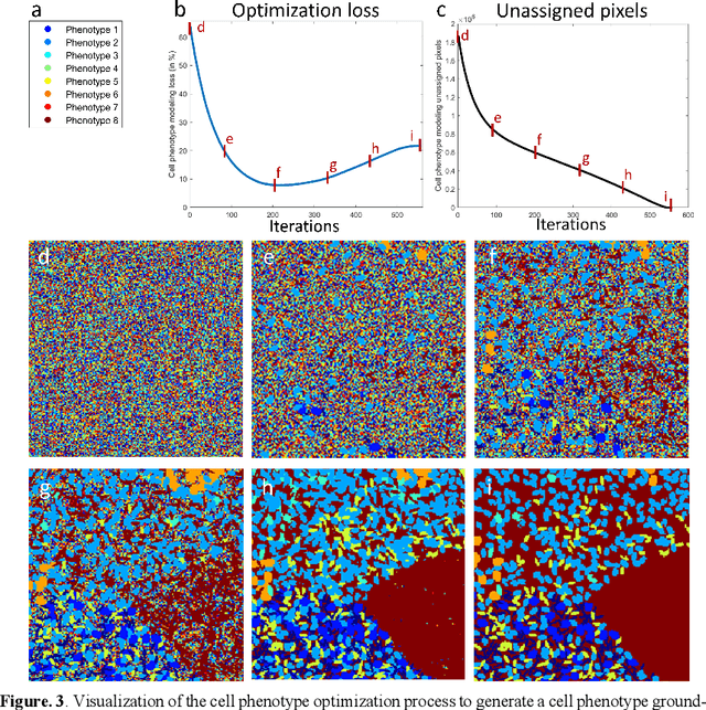 Figure 3 for Synplex: A synthetic simulator of highly multiplexed histological images