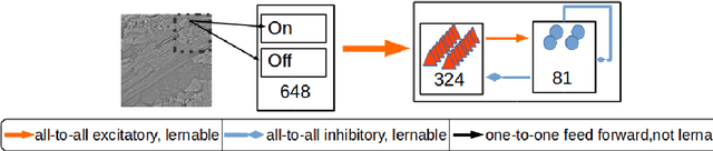 Figure 1 for A Neural Spiking Approach Compared to Deep Feedforward Networks on Stepwise Pixel Erasement