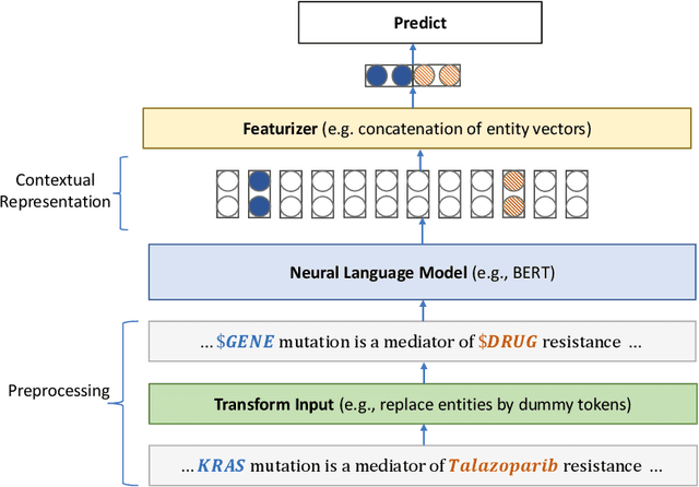 Figure 4 for Domain-Specific Language Model Pretraining for Biomedical Natural Language Processing