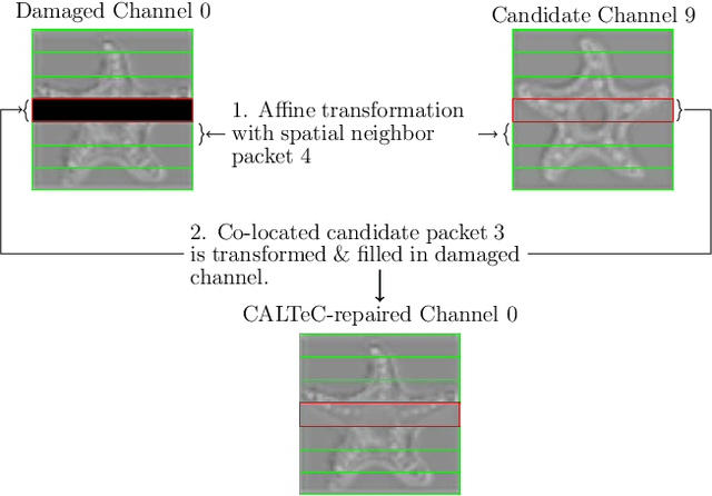 Figure 2 for CALTeC: Content-Adaptive Linear Tensor Completion for Collaborative Intelligence