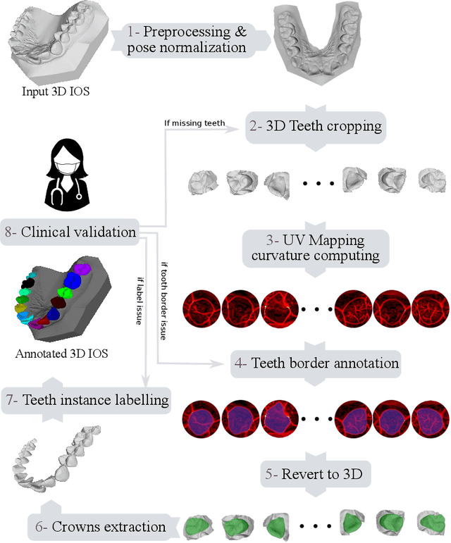 Figure 1 for Teeth3DS: a benchmark for teeth segmentation and labeling from intra-oral 3D scans