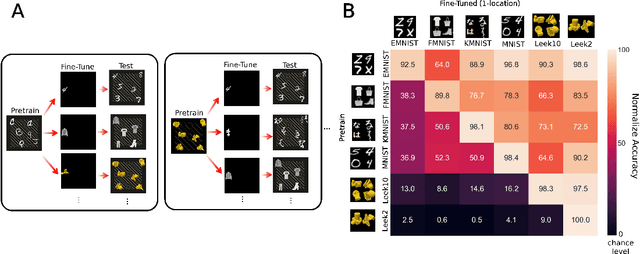 Figure 2 for Convolutional Neural Networks Are Not Invariant to Translation, but They Can Learn to Be
