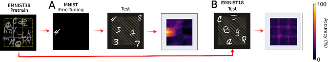Figure 3 for Convolutional Neural Networks Are Not Invariant to Translation, but They Can Learn to Be