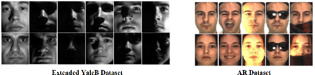 Figure 1 for Structured Analysis Dictionary Learning for Image Classification