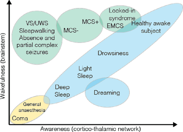Figure 1 for The Morphospace of Consciousness