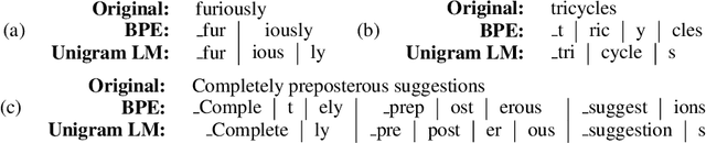 Figure 1 for Byte Pair Encoding is Suboptimal for Language Model Pretraining