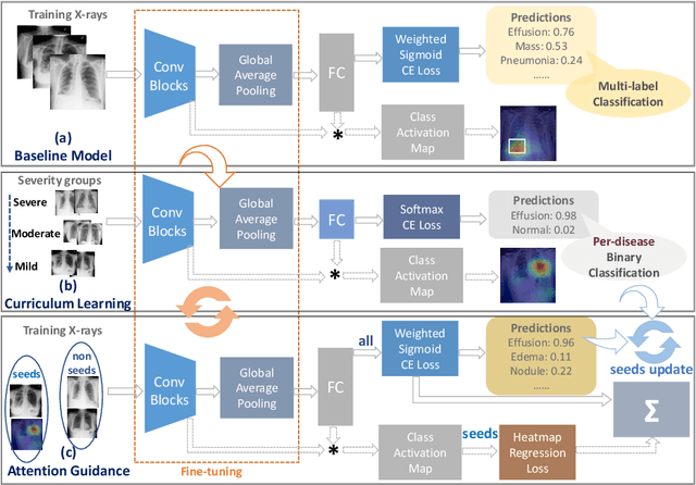 Figure 3 for Attention-Guided Curriculum Learning for Weakly Supervised Classification and Localization of Thoracic Diseases on Chest Radiographs