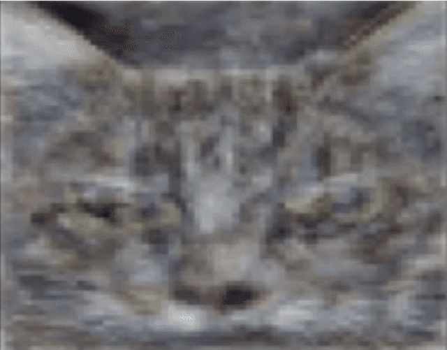 Figure 4 for Artificial Intelligence is stupid and causal reasoning won't fix it