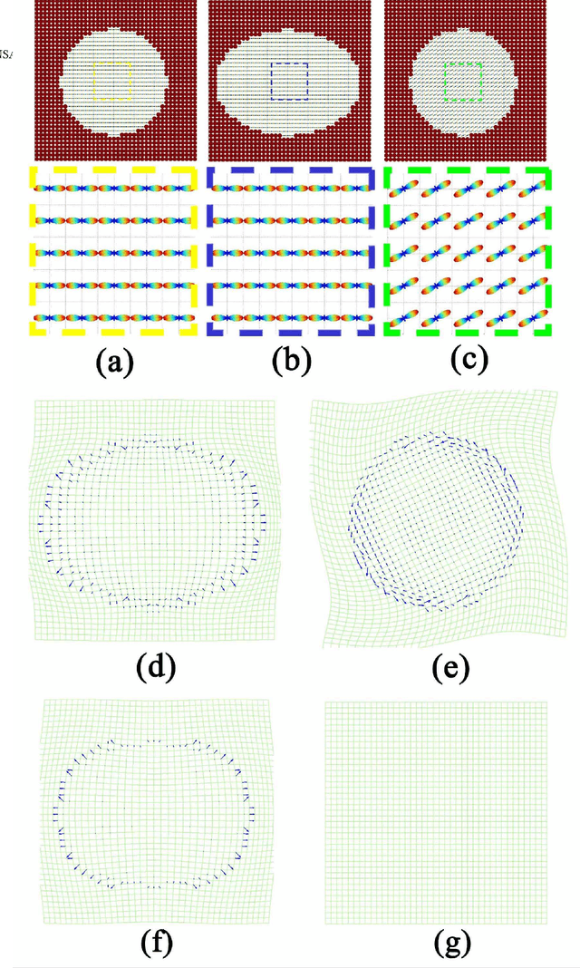 Figure 2 for Diffeomorphic Metric Mapping of High Angular Resolution Diffusion Imaging based on Riemannian Structure of Orientation Distribution Functions