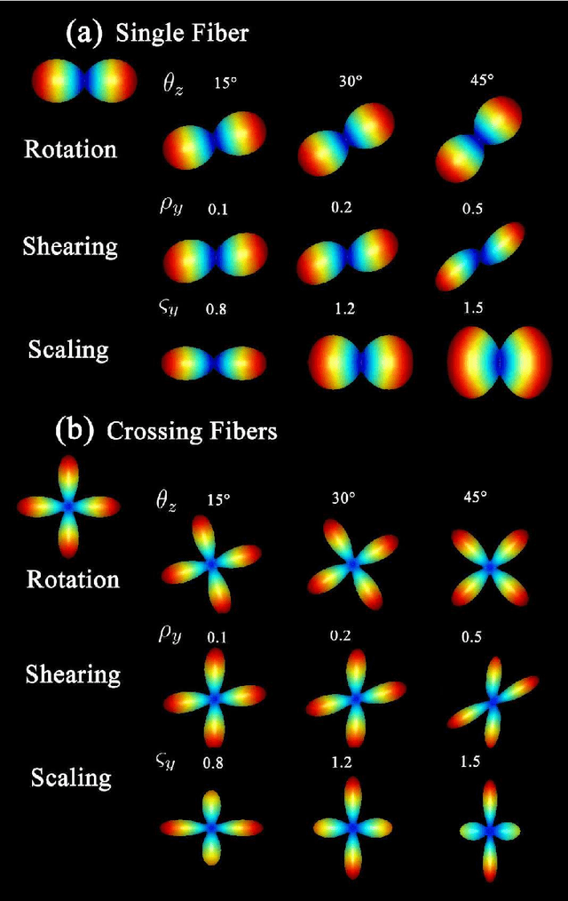 Figure 1 for Diffeomorphic Metric Mapping of High Angular Resolution Diffusion Imaging based on Riemannian Structure of Orientation Distribution Functions