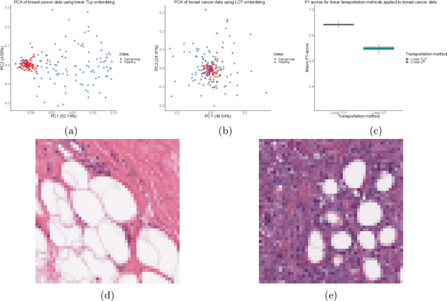 Figure 3 for A Linear Transportation $\mathrm{L}^p$ Distance for Pattern Recognition