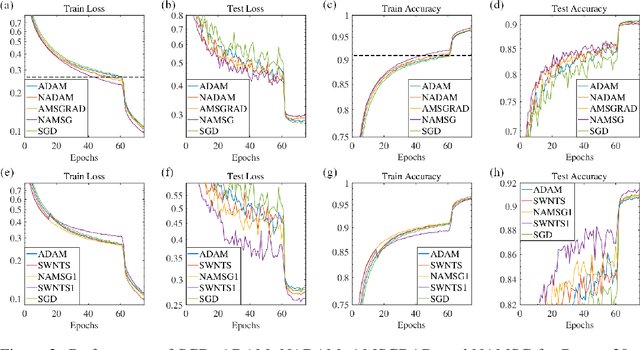Figure 3 for NAMSG: An Efficient Method For Training Neural Networks