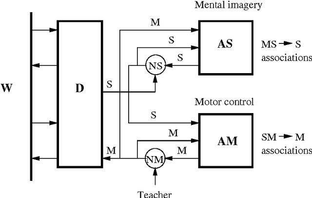 Figure 3 for Concept of E-machine: How does a "dynamical" brain learn to process "symbolic" information? Part I