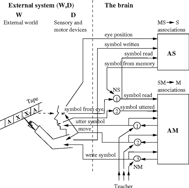 Figure 4 for Concept of E-machine: How does a "dynamical" brain learn to process "symbolic" information? Part I