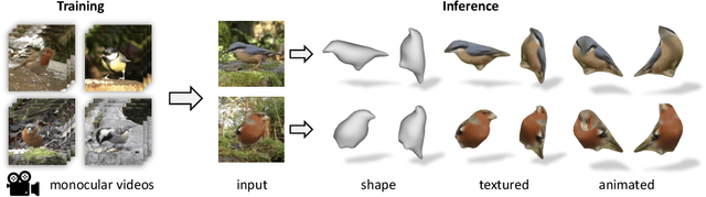 Figure 1 for DOVE: Learning Deformable 3D Objects by Watching Videos