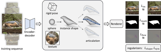 Figure 3 for DOVE: Learning Deformable 3D Objects by Watching Videos