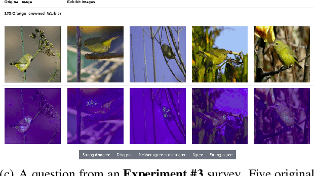 Figure 1 for Evaluation of Saliency-based Explainability Method