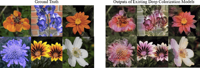 Figure 3 for Coloring With Limited Data: Few-Shot Colorization via Memory-Augmented Networks