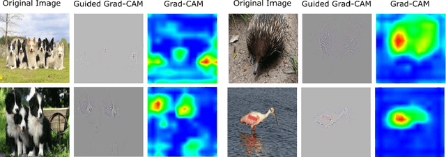 Figure 1 for Grad-CAM++: Generalized Gradient-based Visual Explanations for Deep Convolutional Networks