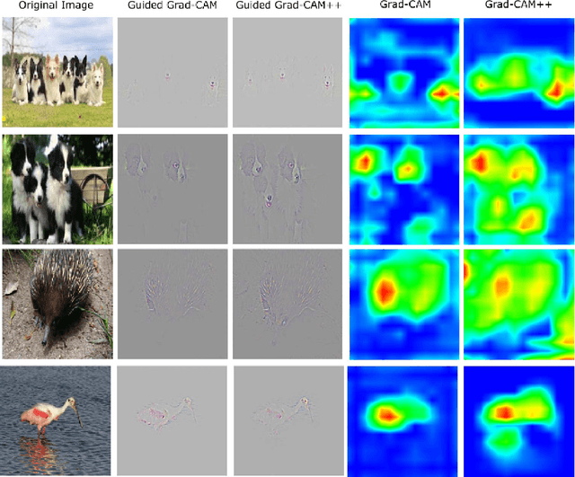 Figure 3 for Grad-CAM++: Generalized Gradient-based Visual Explanations for Deep Convolutional Networks