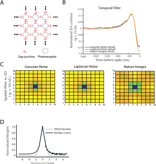 Figure 3 for A simple blind-denoising filter inspired by electrically coupled photoreceptors in the retina