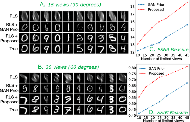 Figure 1 for Improving Limited Angle CT Reconstruction with a Robust GAN Prior