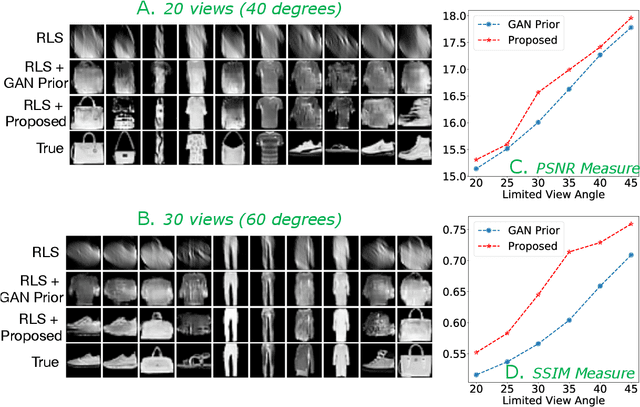 Figure 2 for Improving Limited Angle CT Reconstruction with a Robust GAN Prior