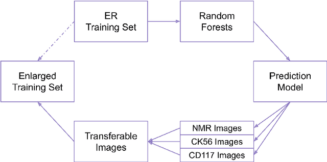 Figure 2 for Automatically Score Tissue Images Like a Pathologist by Transfer Learning