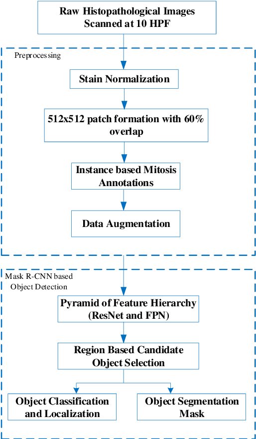 Figure 3 for Deep Object Detection based Mitosis Analysis in Breast Cancer Histopathological Images