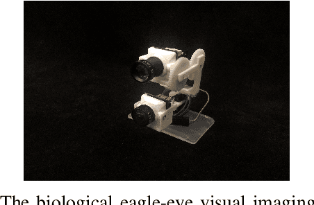 Figure 3 for A Miniature Biological Eagle-Eye Vision System for Small Target Detection