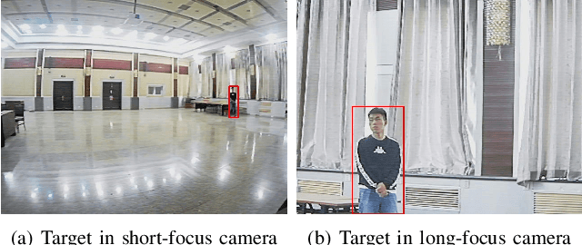 Figure 2 for A Miniature Biological Eagle-Eye Vision System for Small Target Detection
