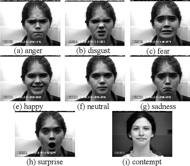 Figure 1 for Real-Time Facial Expression Recognition using Facial Landmarks and Neural Networks